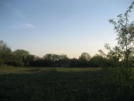 с.Китайгород