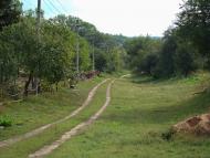 Ребедайлівка з panoramio.com