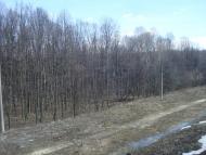 Новий Майдан з panoramio.com