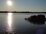 Лиманне з panoramio.com