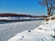 Дубівці з panoramio.com