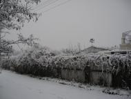 Широке з panoramio.com
