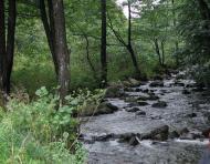 Осій з panoramio.com