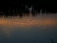 Козацьке з panoramio.com