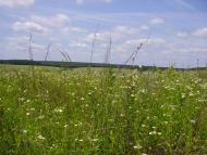 Красносілка з panoramio.com