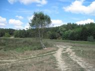 Згарок з panoramio.com