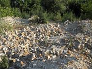 Оріхівка з panoramio.com