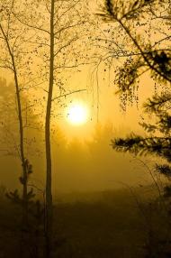 Андріївка з panoramio.com