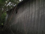 Дзюньків з panoramio.com