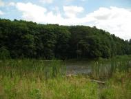 Піщатинці з panoramio.com