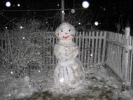 Романів з panoramio.com