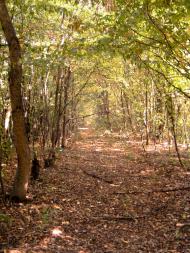 Травневе з panoramio.com