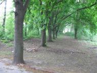 Шепелівка з panoramio.com