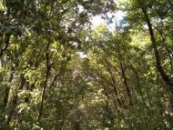 Леніна Друге з panoramio.com