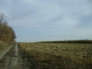 Садове з panoramio.com