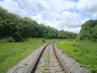 Жищинці з panoramio.com