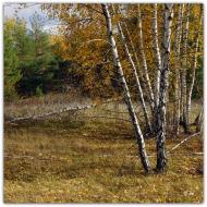 Жирки з panoramio.com