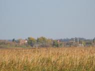 Лаврики з panoramio.com