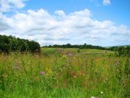 Вишнів з panoramio.com