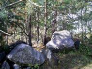 Бушеве з panoramio.com - Busheve