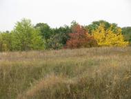 Залиман з panoramio.com