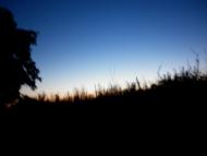 Козацьке з panoramio.com