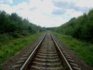 Жищинці з panoramio.com