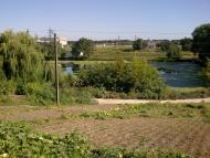 Бродівське з panoramio.com