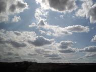 Нововасилівка з panoramio.com