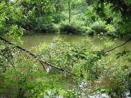 Вербівка з panoramio.com