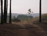Червоний Донець з panoramio.com - Червоный Донец