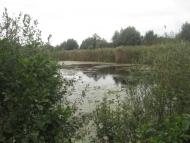 Піски з panoramio.com