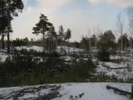 Жирки з panoramio.com