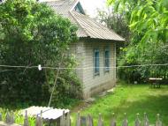 Мишурин Ріг з panoramio.com - Мишурин Рог
