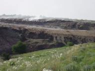 Сад з panoramio.com