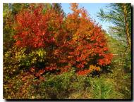 Вишнів з panoramio.com