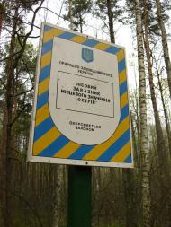 Єлівка з panoramio.com