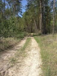 Собичеве з panoramio.com