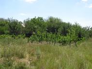 Івано-Ганнівка з panoramio.com