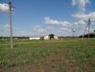 Єлизаветівка з panoramio.com