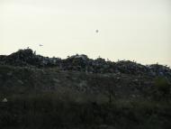 Нова Долина з panoramio.com