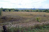Золотарівка з panoramio.com