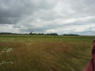 Сошники з panoramio.com