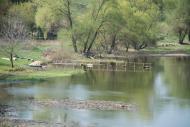 Байрак з panoramio.com