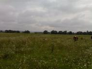 Почапи з panoramio.com