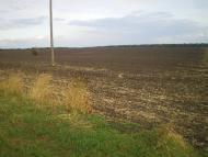 Хрещате з panoramio.com