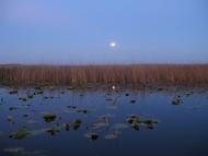 Котира з panoramio.com