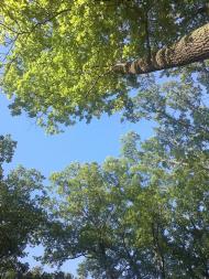 Газове з panoramio.com