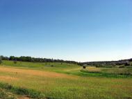 Придніпрянське з panoramio.com