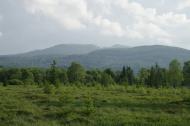 Шандровець з panoramio.com - Шандровец